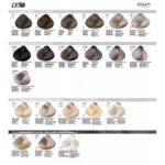 Tinte Dikson Color Extra "LÍNEA PREMIUM" Cenizas 6.1/6c/6a rubio Oscuro Ceniza - 120 ml - Imagen 5