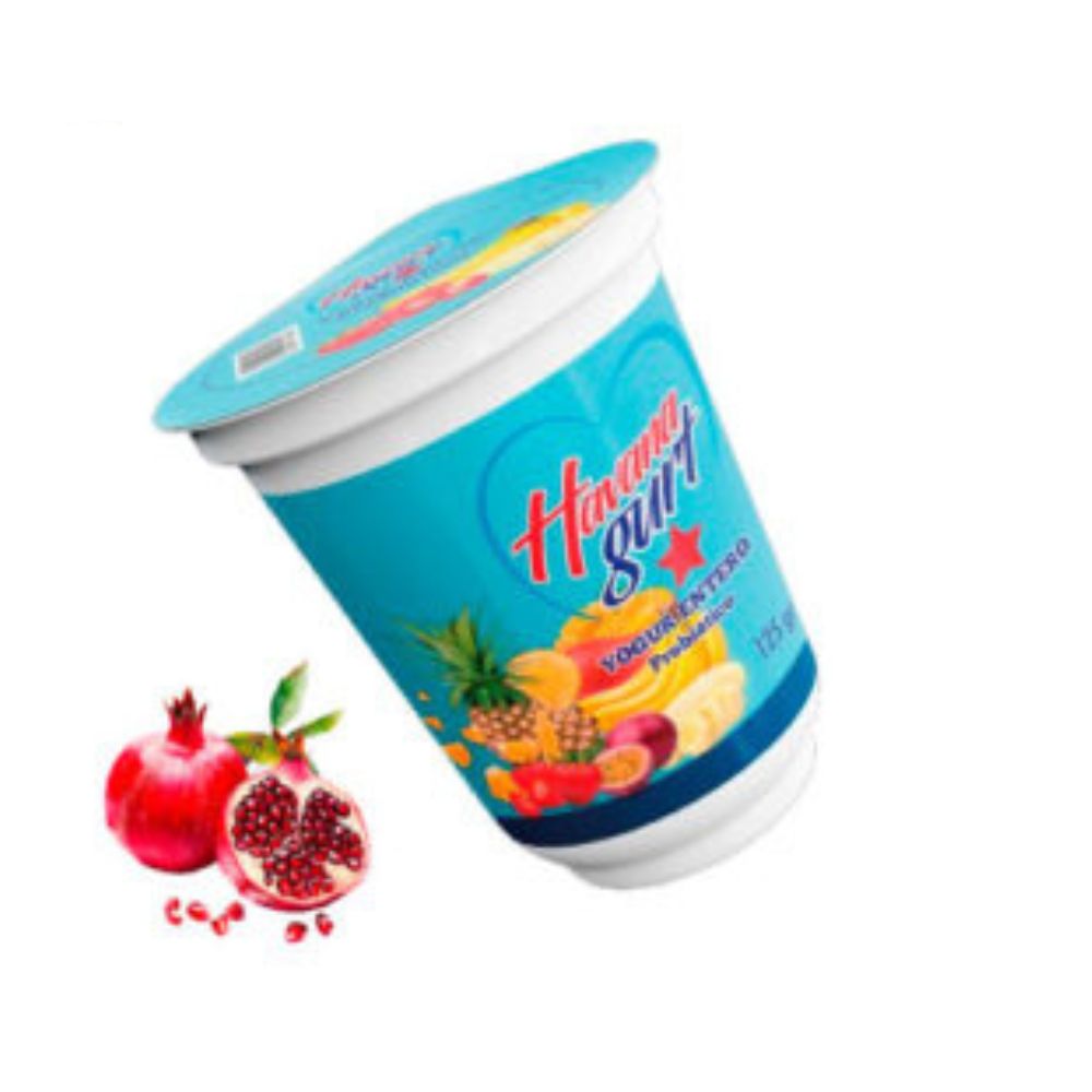 Yogurt Probiótico de Frutos del Bosque 125g (Minidosis) - Havanagurt - Imagen 1