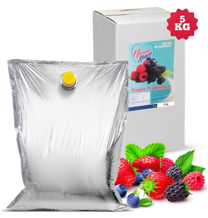 Yogurt Probiótico Frutos del Bosque 5Kg - Havanagurt - Imagen 1