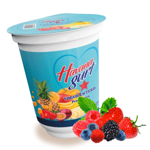 Yogurt Probiótico de Frutas del Bosque 125g (Minidosis) - Havanagurt - Imagen 1