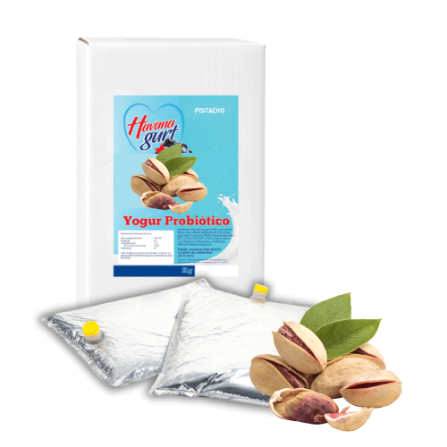 Yogurt Probiótico Pistacho 5Kg - Havanagurt - Imagen 1