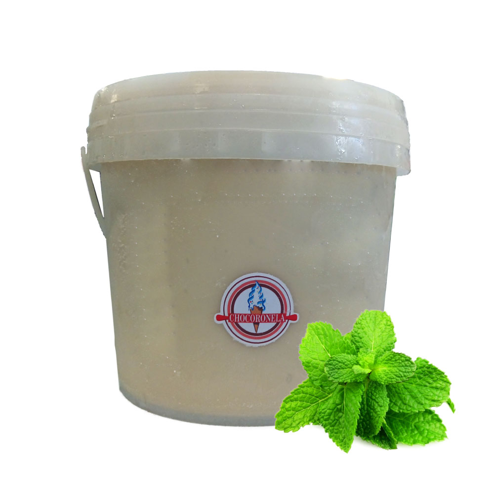Helado de Menta 4L - Chocoronela - Imagen 1
