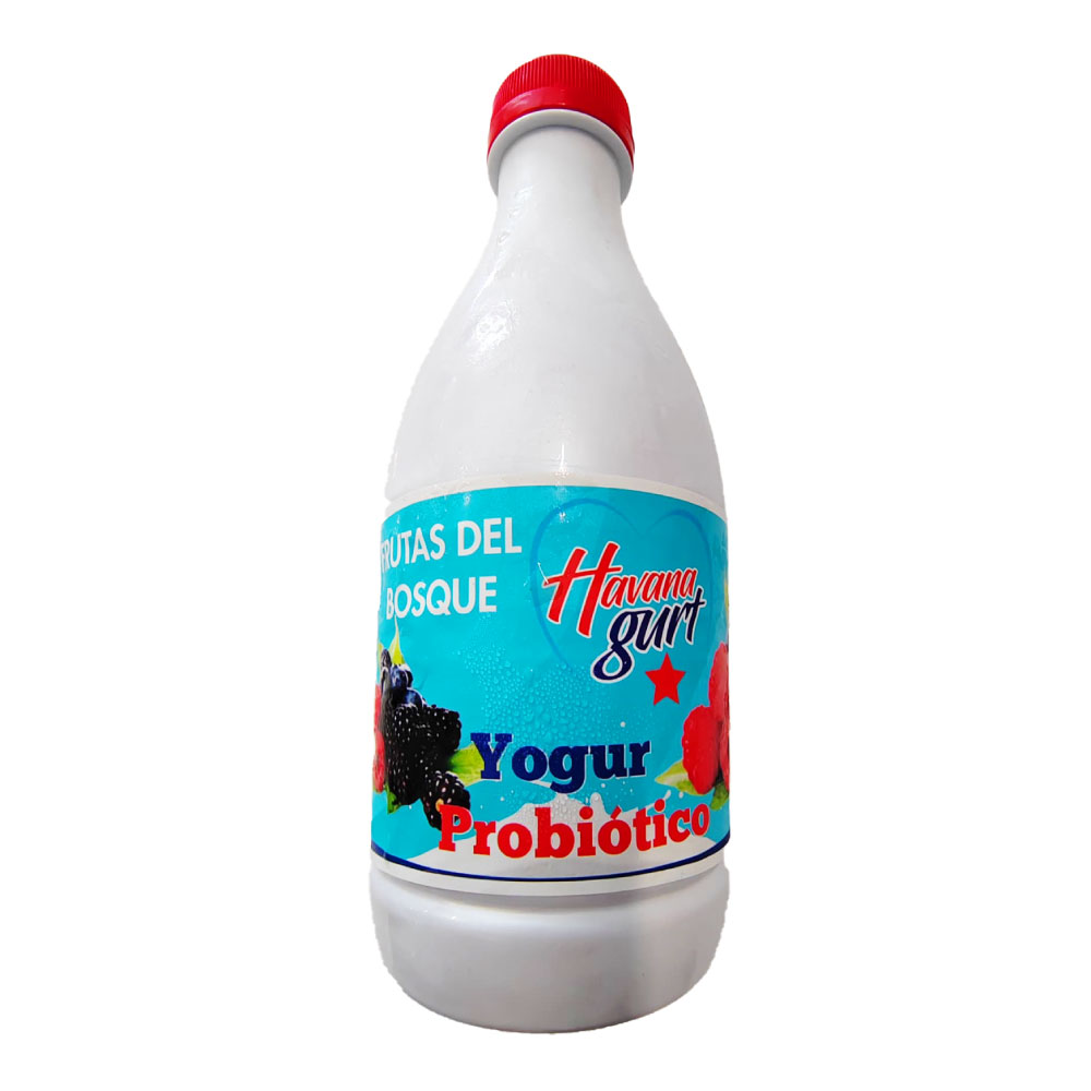 Yogurt Probiótico Frutos del Bosque 1Kg - Havanagurt - Imagen 1